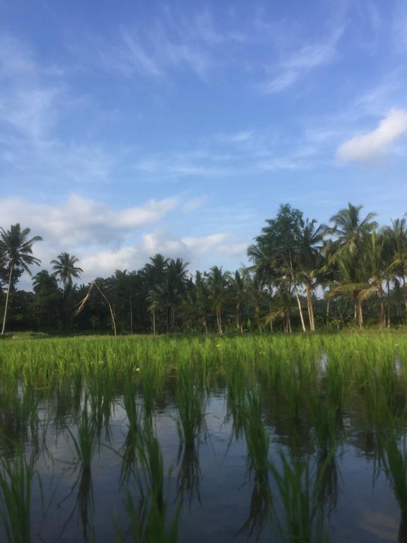 Appartamento Umah Nik Kepitu Payangan Esterno foto